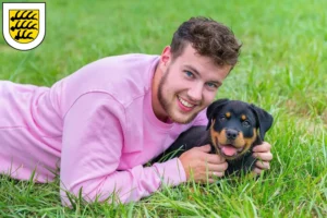 Mehr über den Artikel erfahren Rottweiler Züchter und Welpen in Tuttlingen