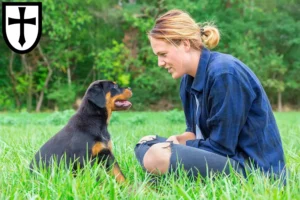 Mehr über den Artikel erfahren Rottweiler Züchter und Welpen in Verden (Aller)